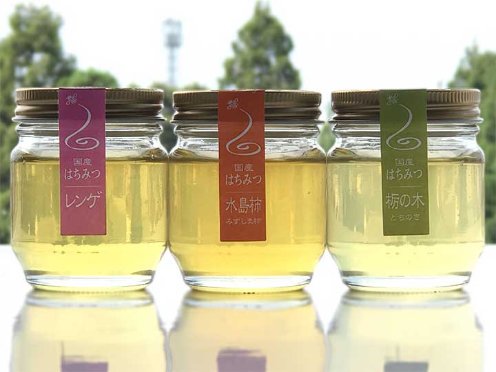 今月のプレゼント
