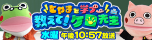 教えて!ケロ先生