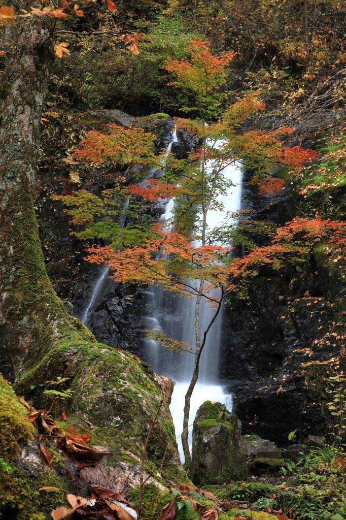 宇津江四十八滝