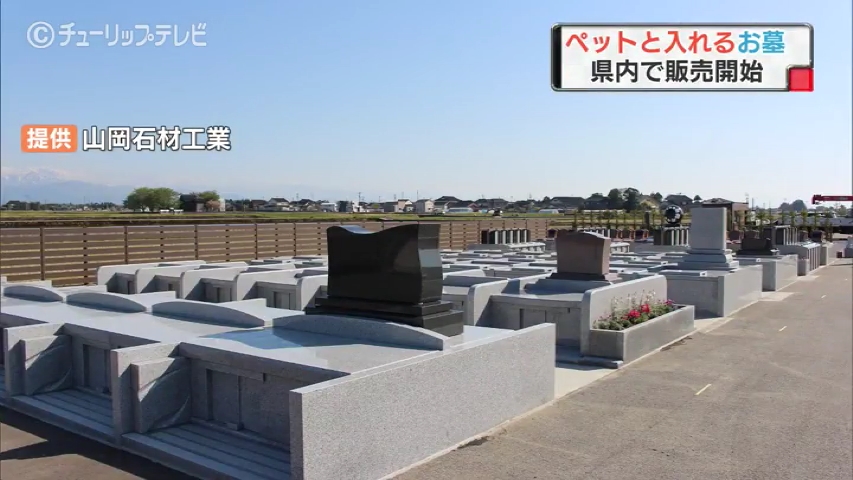 あしたに もっとハッピーを 株式会社チューリップテレビ