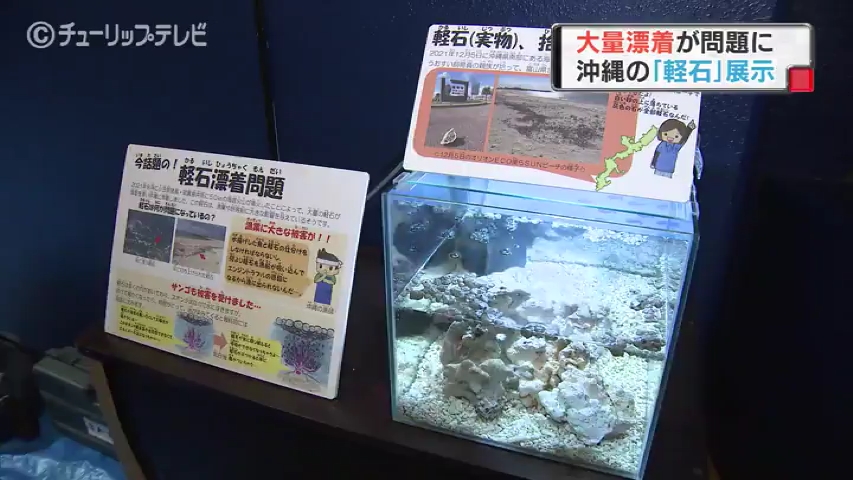 あしたに もっとハッピーを 株式会社チューリップテレビ