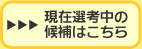 現在選考中の候補はこちら